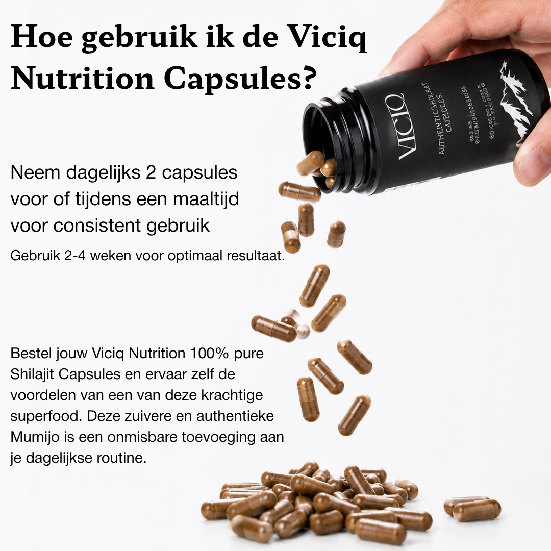 viciq Authentic Shilajit Capsules 500MG 81,4